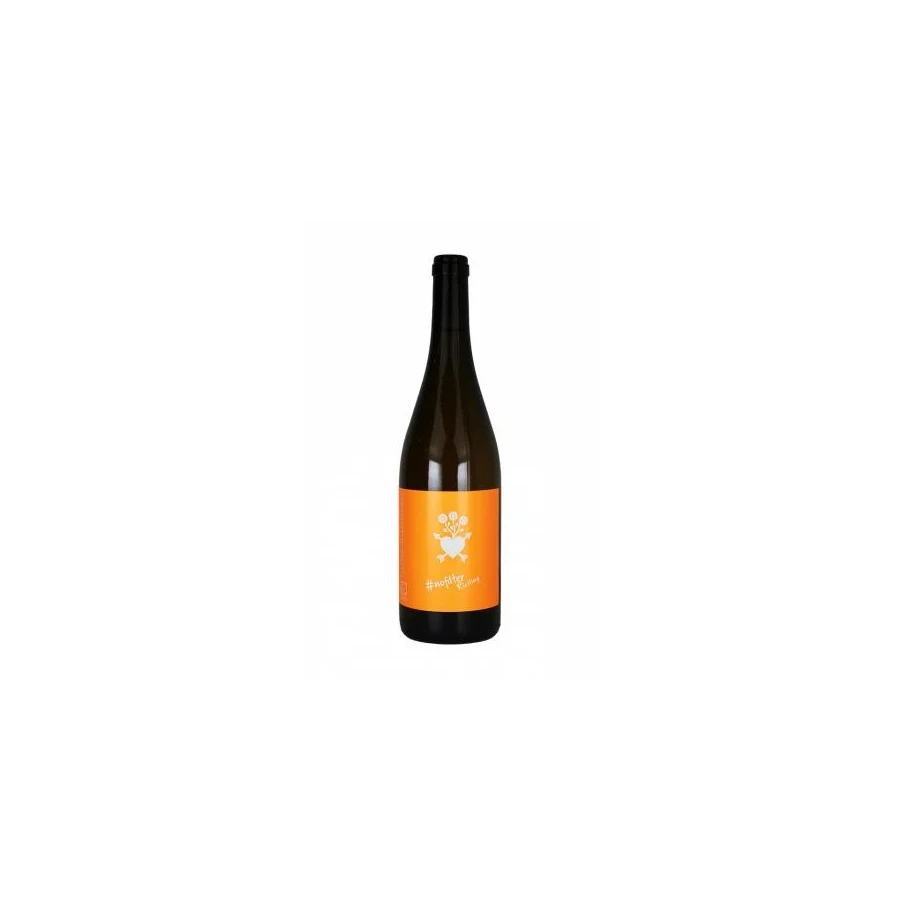 Riesling nofilter Weingut Kemetner 2019
